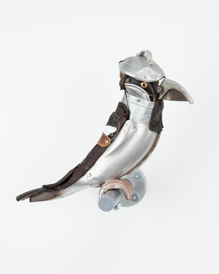 Matthias Garff, „Haussperling (m)“, 2023