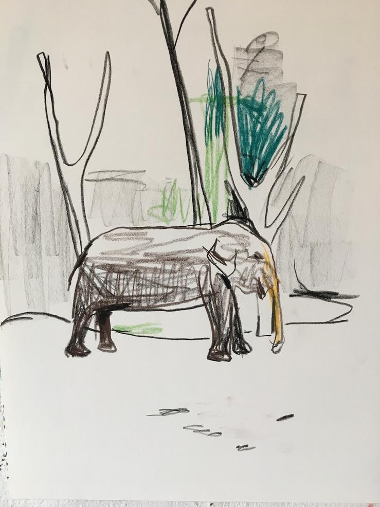 Karsten Kusch, „Serie Zootiere - Elefant“, 2025