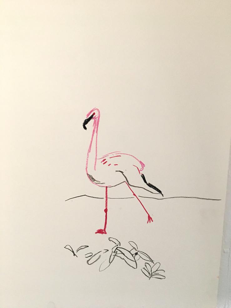 Karsten Kusch, „Serie Zootiere - Flamingo 1“, 2025