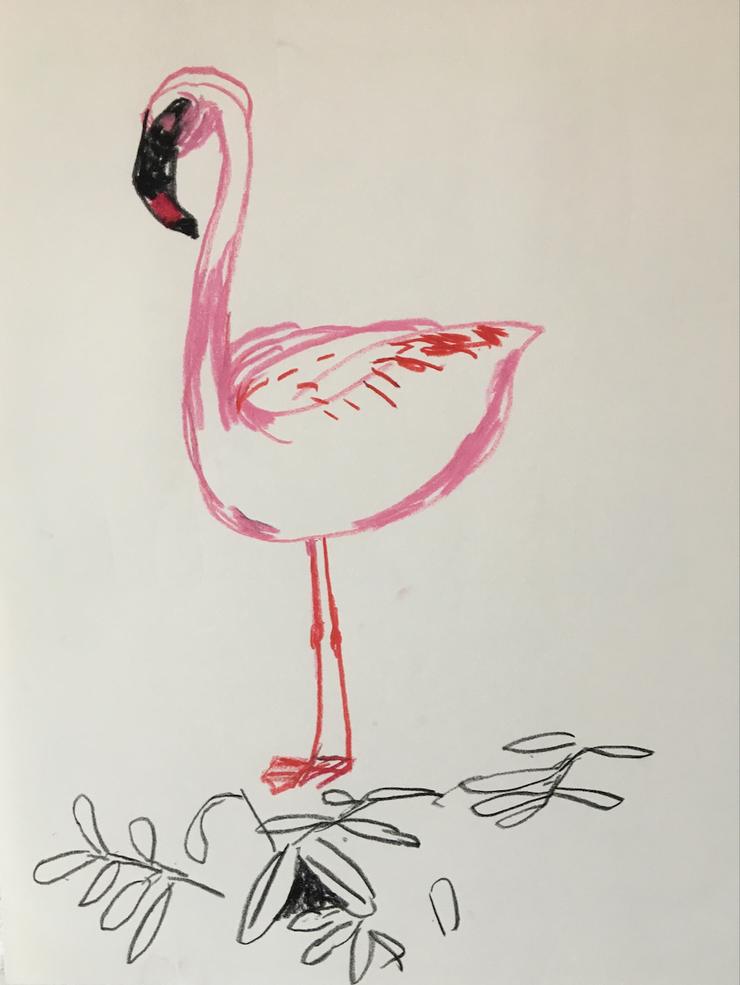 Karsten Kusch, „Serie Zootiere - Flamingo 3“, 2025