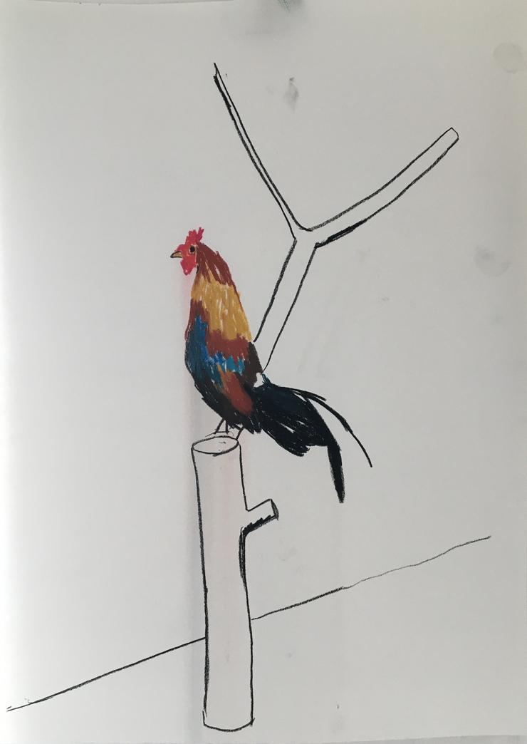 Karsten Kusch, „Serie Zootiere - Hahn“, 2025
