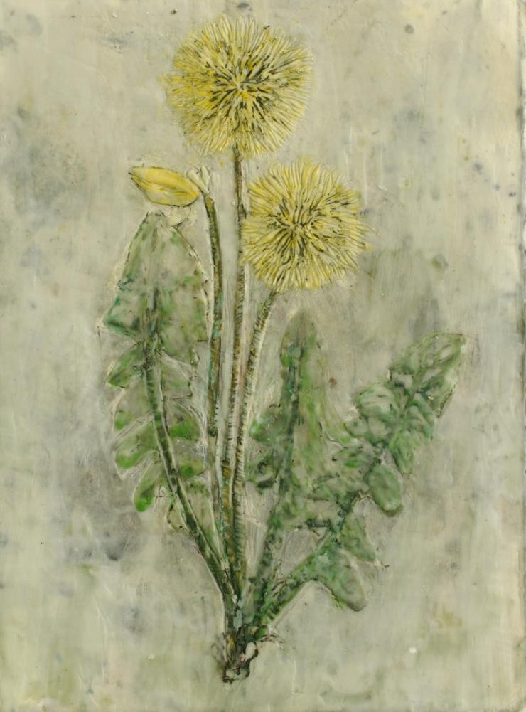 Heike Jeschonnek, „Löwenzahn 1“, 2024