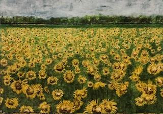 Heike Jeschonnek, „Sonnenblumenfeld“, 2024