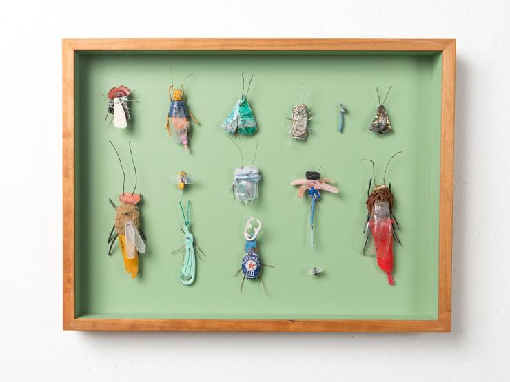 Matthias Garff, „Insektenkasten (Korfu III)“, 2020