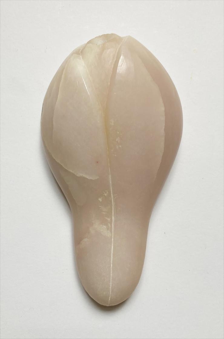 Ellen Maeder-Gutz, „Aus bella donna“, 2006