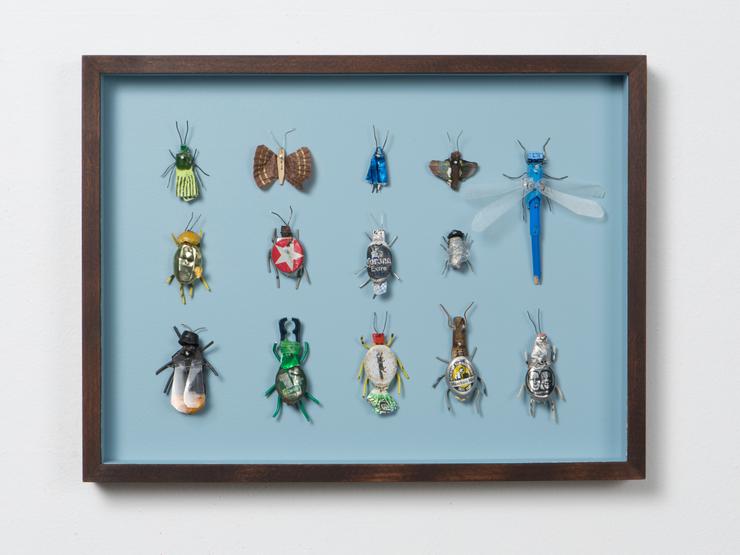 Matthias Garff, „Insektenkasten (Dezember II)“, 2020