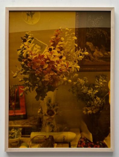 Lovely Flowers, 2023, Photographie auf Hahnemühle Fine Art Papier, Plexiglas orange, Holzrahmen, 87 x 67 cm, Auflage: lim. Ed. 1 (3)